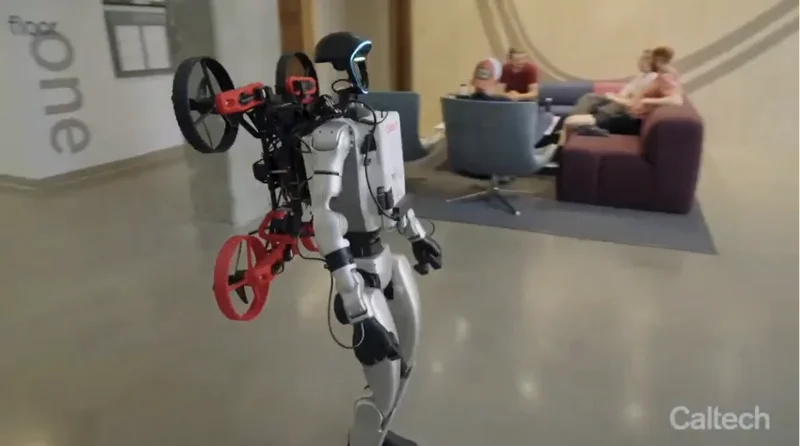 Robotic Synergy: The Future is Teamwork