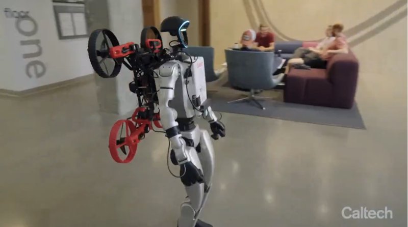 Robotic Synergy: The Future is Teamwork