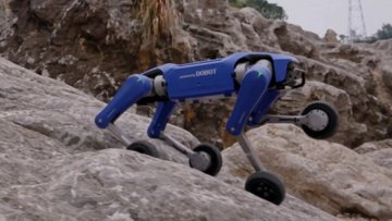 DOBOT's $1K Rover X1: A Robot Dog for the Rest of Us?