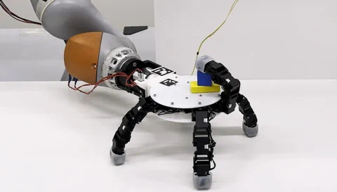 EPFL's New Robot Hand Can Melt and Reform to Grip Objects