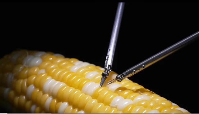 Sony's Corn-Stitching Robot Tech Spins Off Into New Firm Qoly