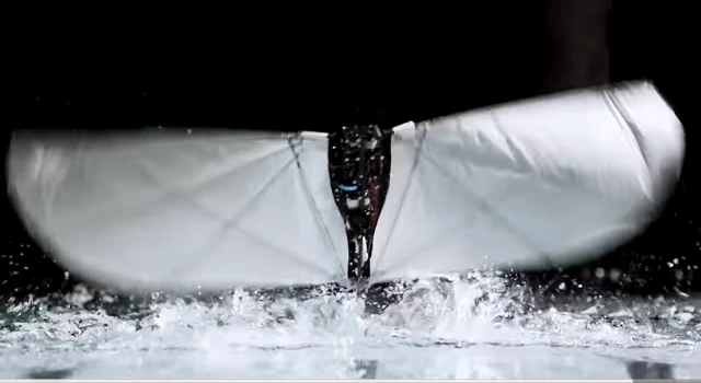 MIT's New Robot Bird Flies, Swims, and Leaps From Water