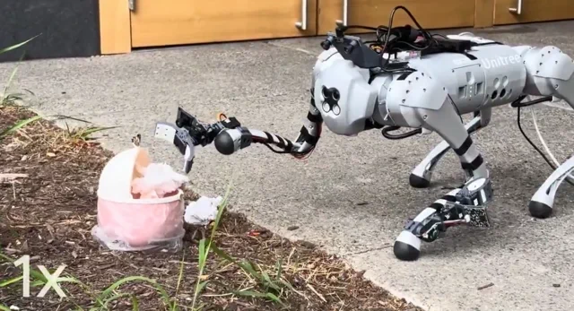 Quadrupeds Learn to Manipulate with Human2LocoMan