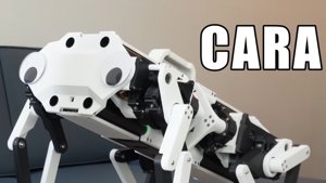 CARA: The Rope-Driven Robot Dog Revolution