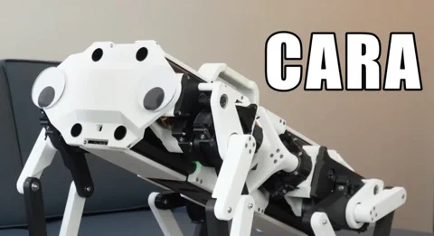 CARA: The Rope-Driven Robot Dog Revolution