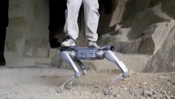 Unitree A2: The Stellar Hunter Redefining Robotics