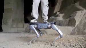 Unitree A2: The Stellar Hunter Redefining Robotics