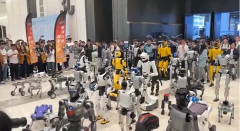 China's Robots Dominate IROS 2025 Showcase