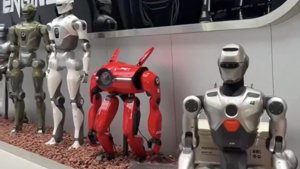 Shenzhen Robot Store Has Kung Fu Bots