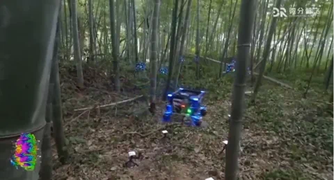Zhejiang Uni Drones Swarm Through Dense Forest Autonomously