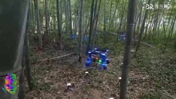 Zhejiang Uni Drones Swarm Through Dense Forest Autonomously