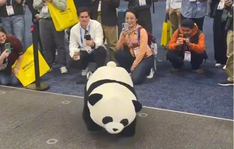 AGIBOT's Panda Robot Does Backflips. Seriously.