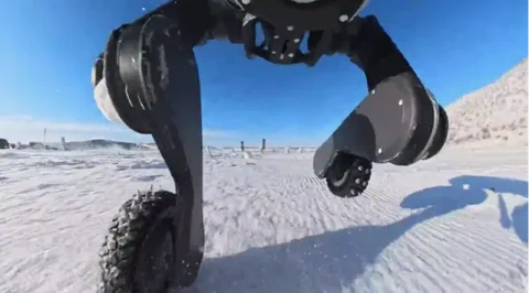 Deep Robotics M20 Drifts in -30°C Snow Like a Pro