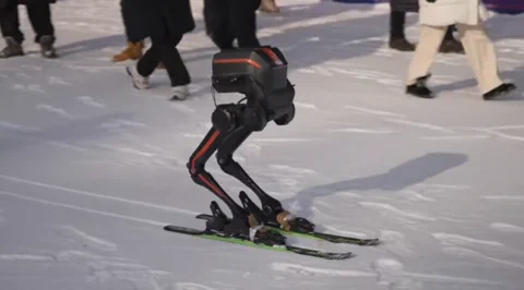 LimX TRON 1 Robot Skis in -20°C, Your Move Boston Dynamics