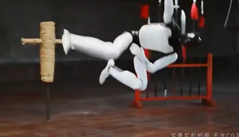 AGIBOT's A3 Robot Has Better Kung Fu Than You Do
