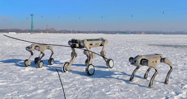 Genisom's Robots Are Better at Winter Sports Than You