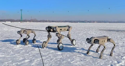 Genisom's Robots Are Better at Winter Sports Than You