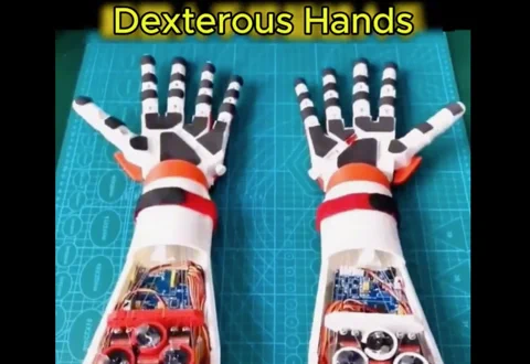 Robotic Hands: Reaching for Human-Like Dexterity